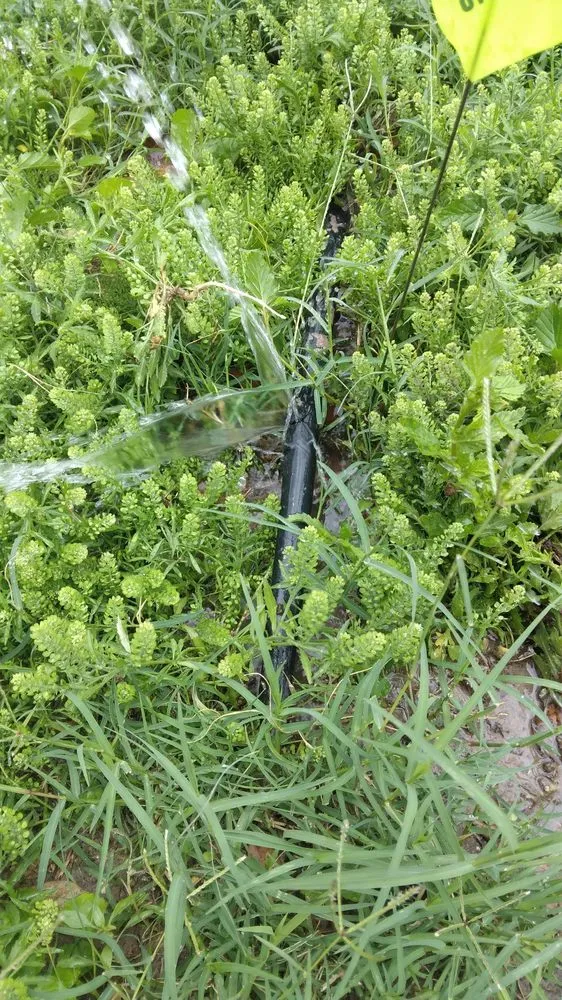 Local landscape installation for year-round maintenance across Pharr, TX - Hernandez Landscaping & Irrigation System Repair