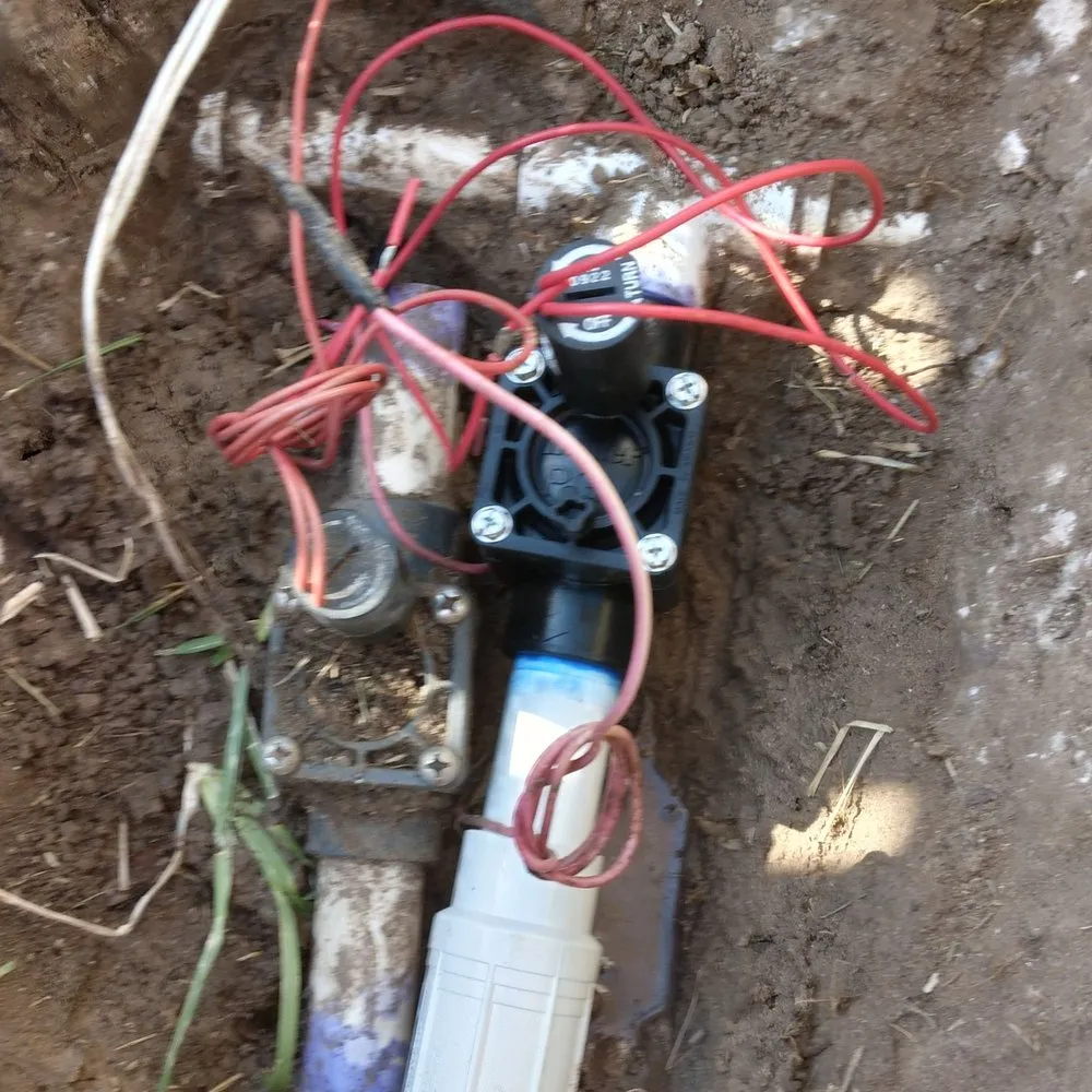 Expert garden landscaping experts serving Pharr, TX - Hernandez Landscaping & Irrigation System Repair