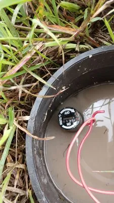 Hernandez Landscaping & Irrigation System Repair