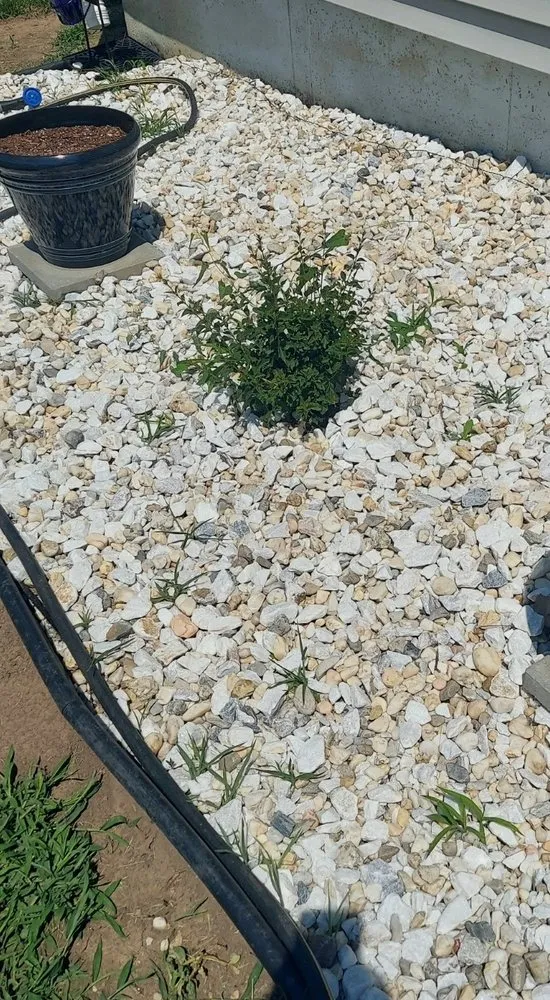 Reliable lawn care service in Lenexa, KS - Hernandez Landscaping & Tree