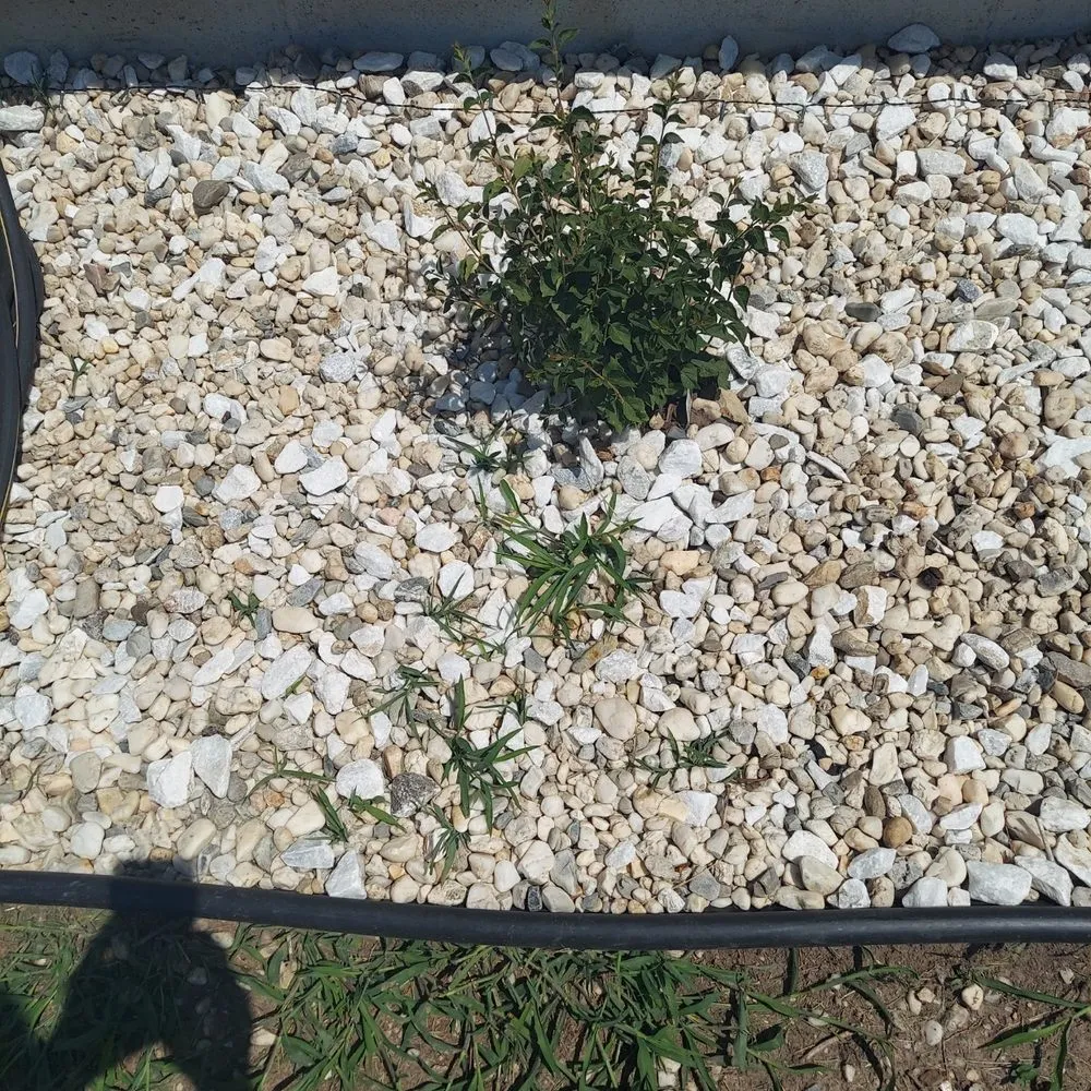 Affordable landscaping services for residential properties across Lenexa, KS - Hernandez Landscaping & Tree