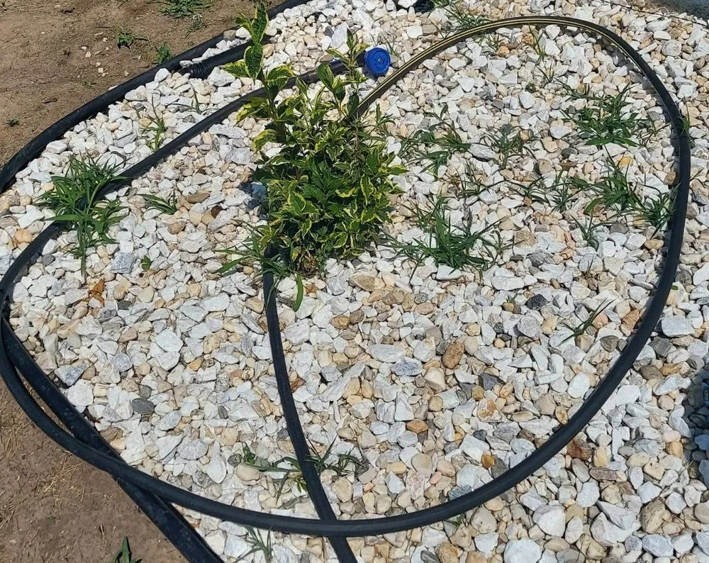 Top-rated lawn mowing service experts serving Lenexa, KS - Hernandez Landscaping & Tree