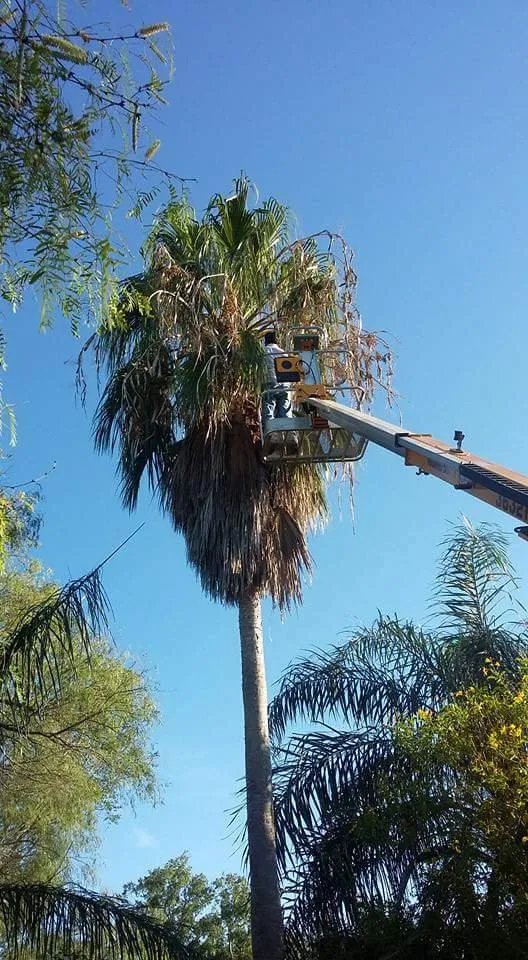 Local lawn mowing service in Alice, TX - Hernandez Landscaping