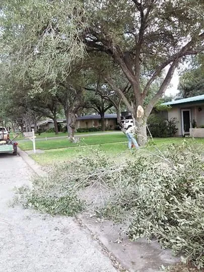 Trusted yard maintenance for outdoor upgrades in Alice, TX by Hernandez Landscaping