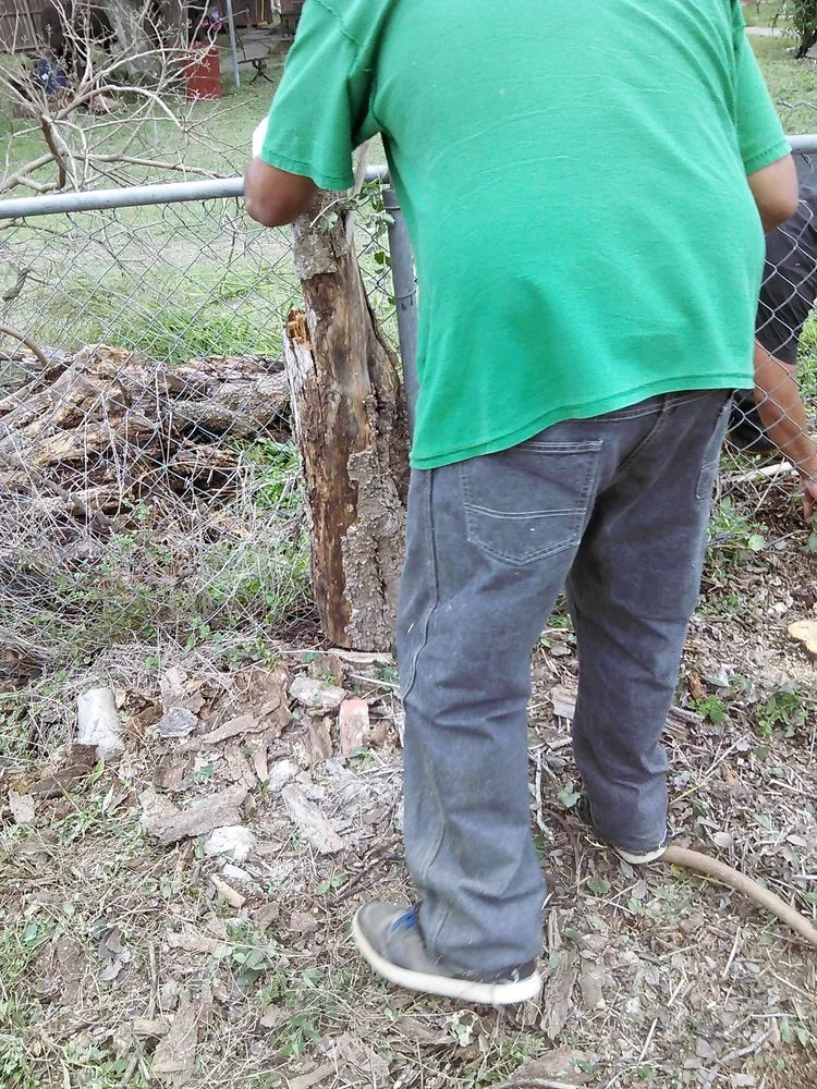 Professional lawn mowing service experts serving Alice, TX - Hernandez Landscaping