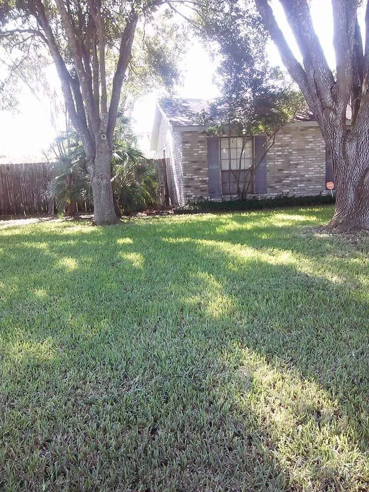 Professional garden landscaping in Alice, TX - Hernandez Landscaping