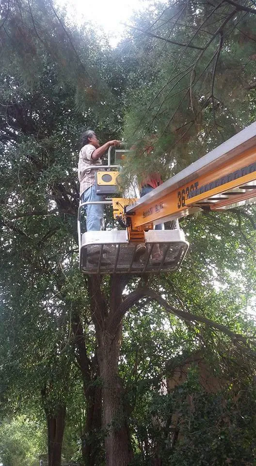 Local residential landscaping in Alice, TX by Hernandez Landscaping