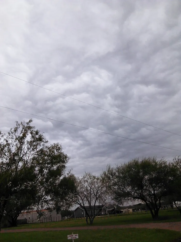 Professional landscaping services in Alice, TX by Hernandez Landscaping