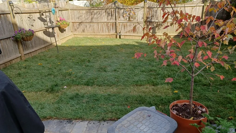 Local residential landscaping for beautiful yards in Bridgeton, NJ by Hernandez Landscaping And Hardscaping