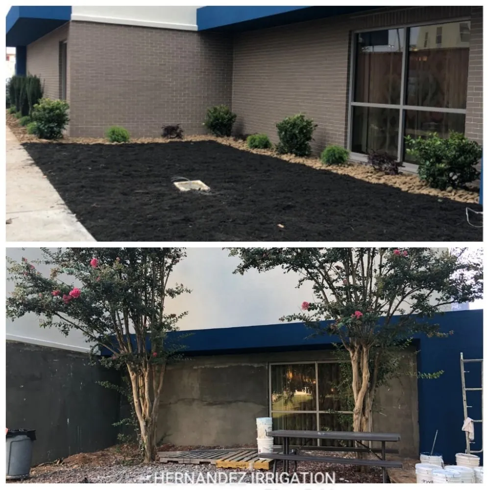 Expert outdoor landscaping in Anderson, SC - Hernandez landscaping and irrigation system