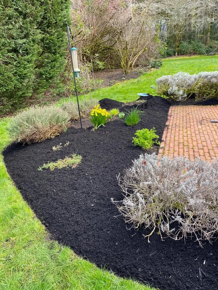 Custom residential landscaping experts serving Bremerton, WA - Hernandez Landscaping And Maintenance