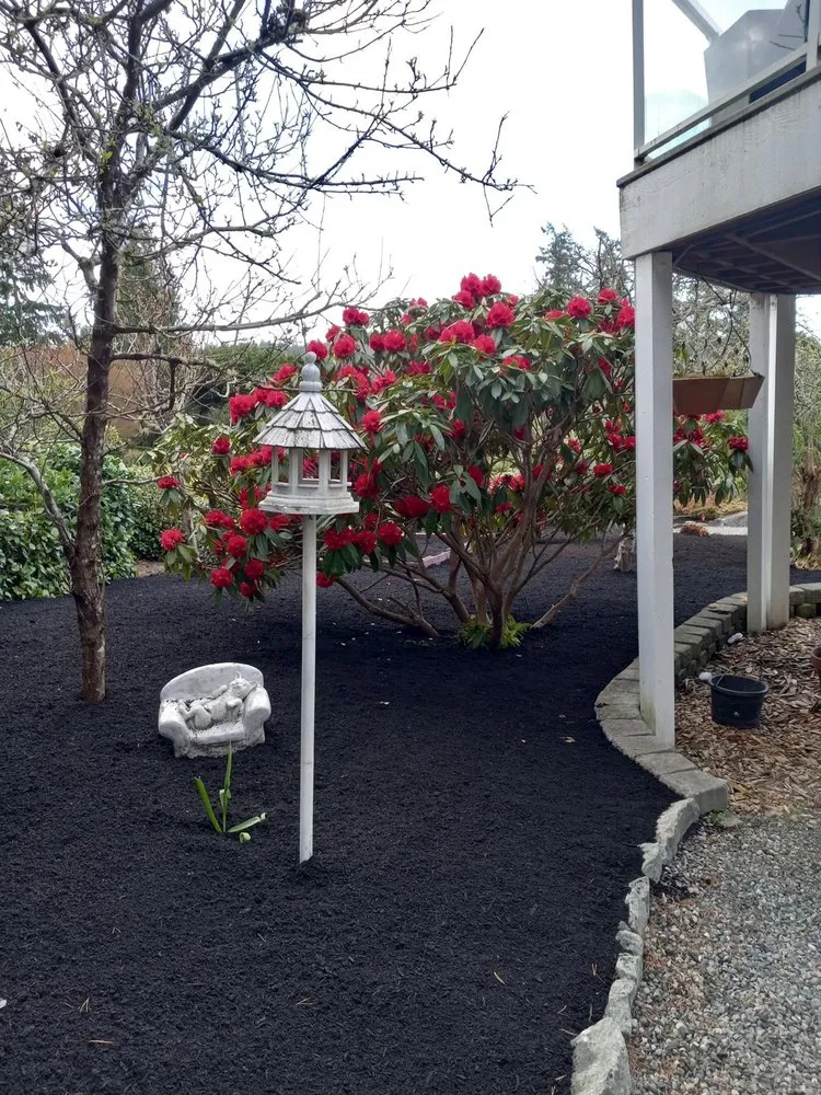 Local lawn mowing service experts serving Bremerton, WA - Hernandez Landscaping And Maintenance