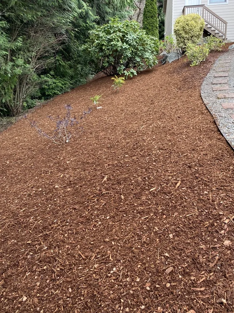 Local landscaping services for homes in Bremerton, WA by Hernandez Landscaping And Maintenance