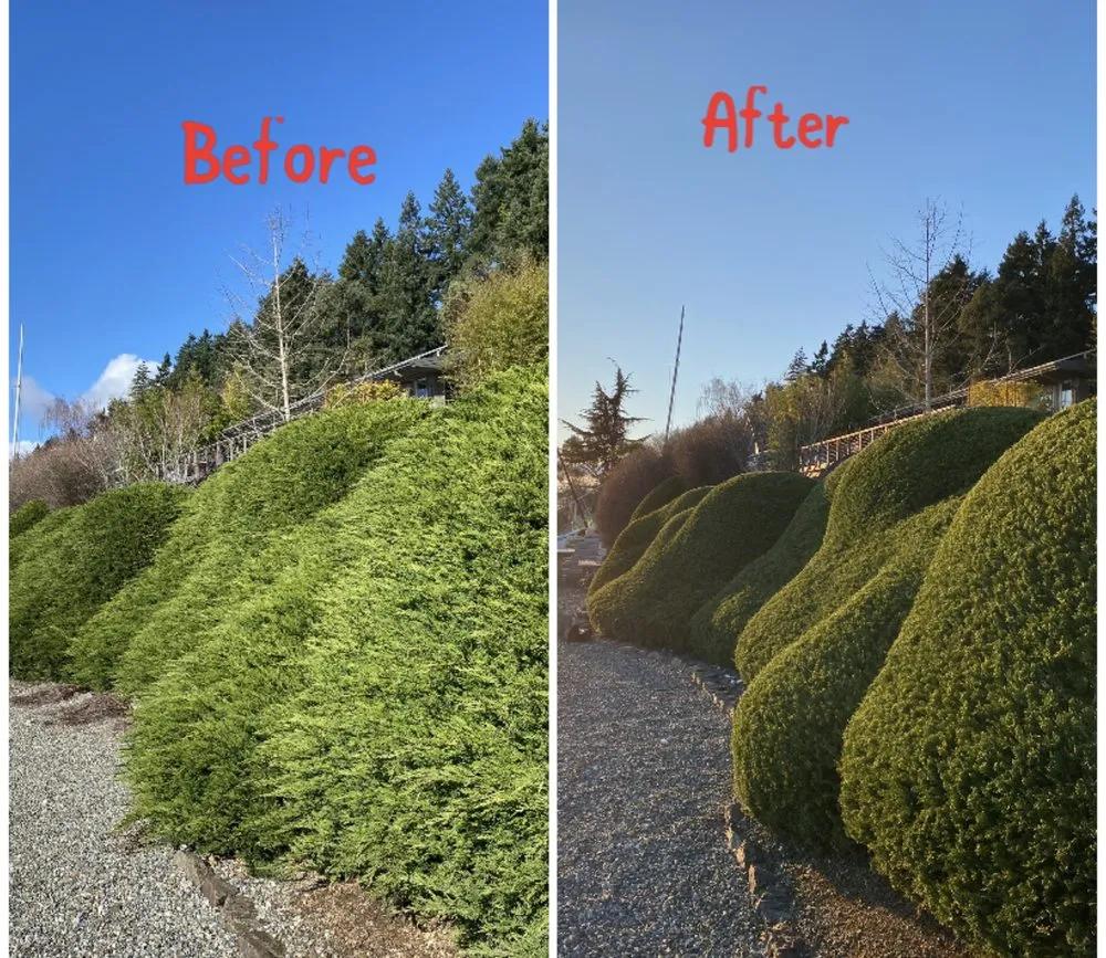 Professional garden landscaping in Bremerton, WA - Hernandez Landscaping And Maintenance