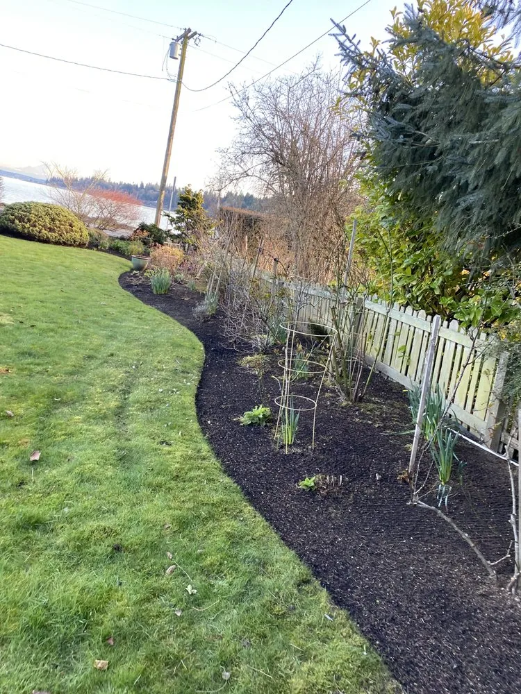 Reliable yard cleanup service for residential properties across Bremerton, WA - Hernandez Landscaping And Maintenance