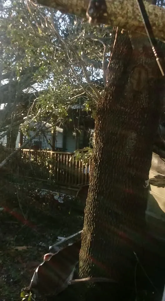 Trusted landscaping services experts serving Callaway, FL - Hernandez Landscaping