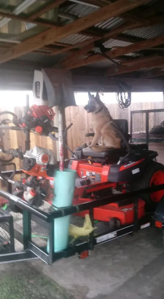 Expert lawn care service for homes in Callaway, FL by Hernandez Landscaping