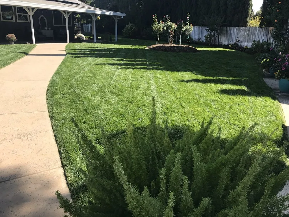 Local yard cleanup service experts serving Chico, CA - Hernandez Landscaping