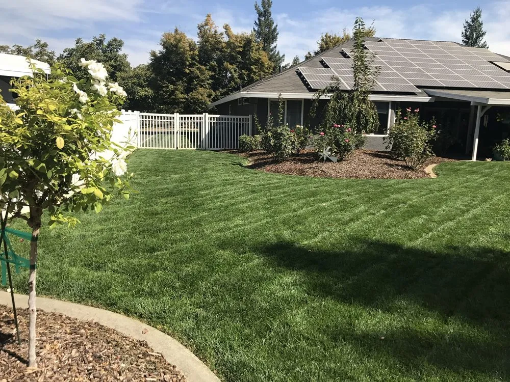 Expert lawn care service in Chico, CA - Hernandez Landscaping
