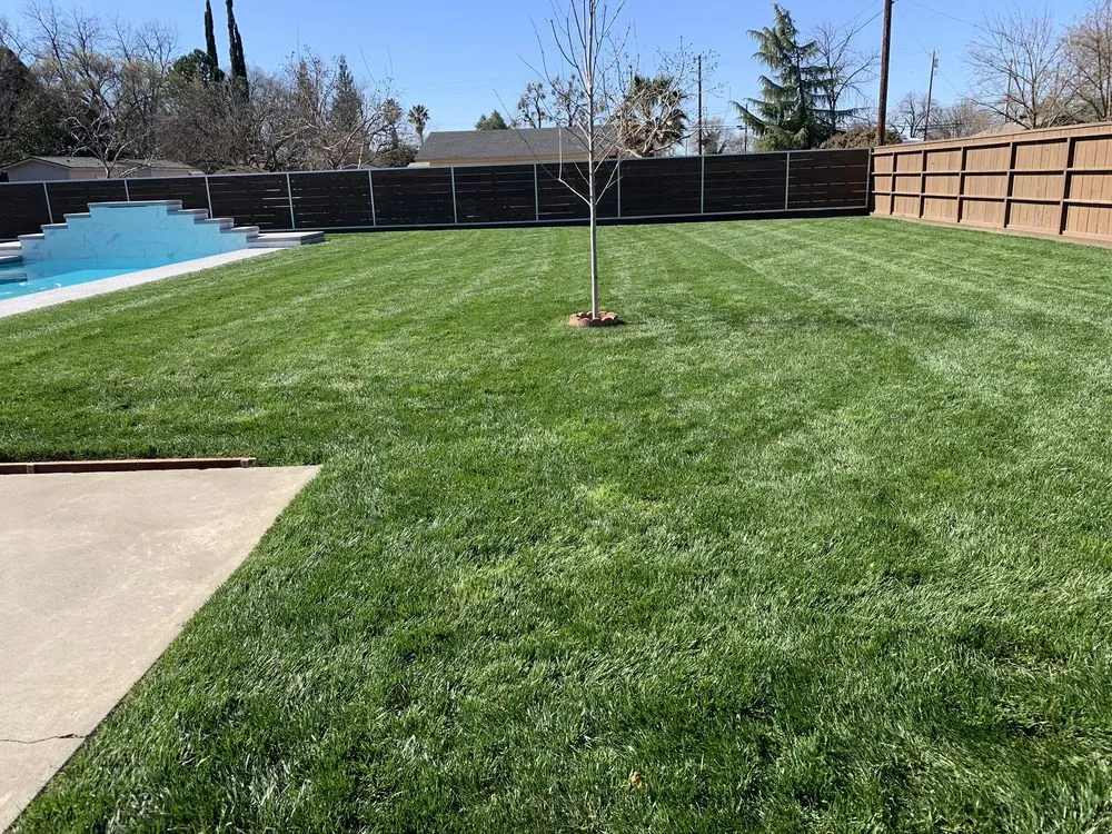 Professional landscaping services experts serving Chico, CA - Hernandez Landscaping