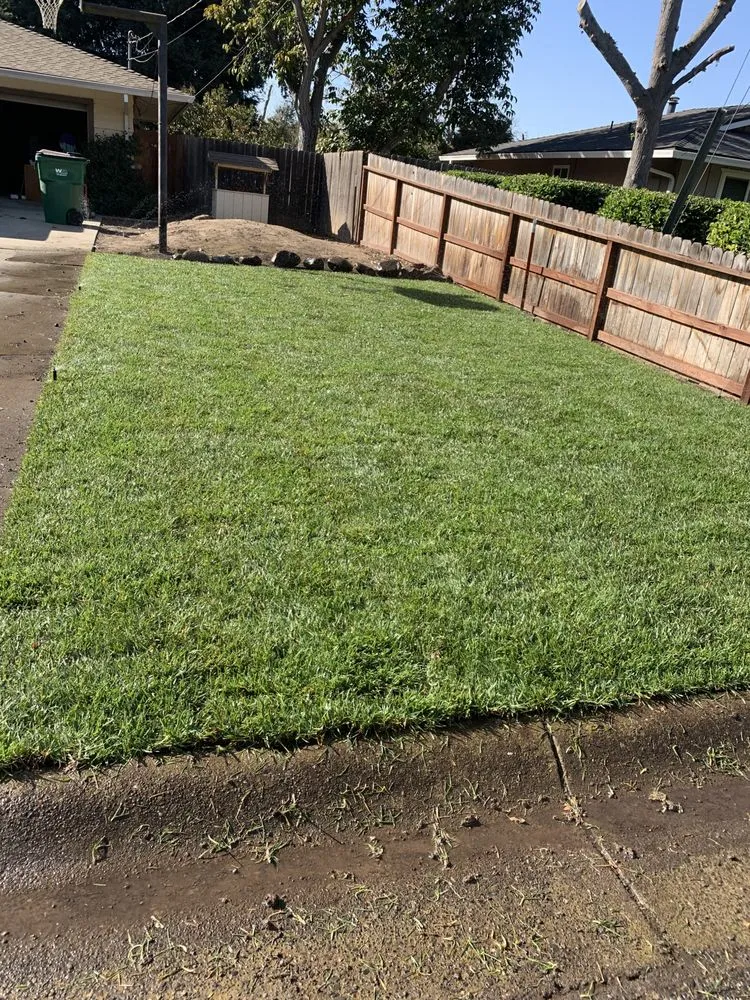 Reliable yard cleanup service experts serving Chico, CA - Hernandez Landscaping