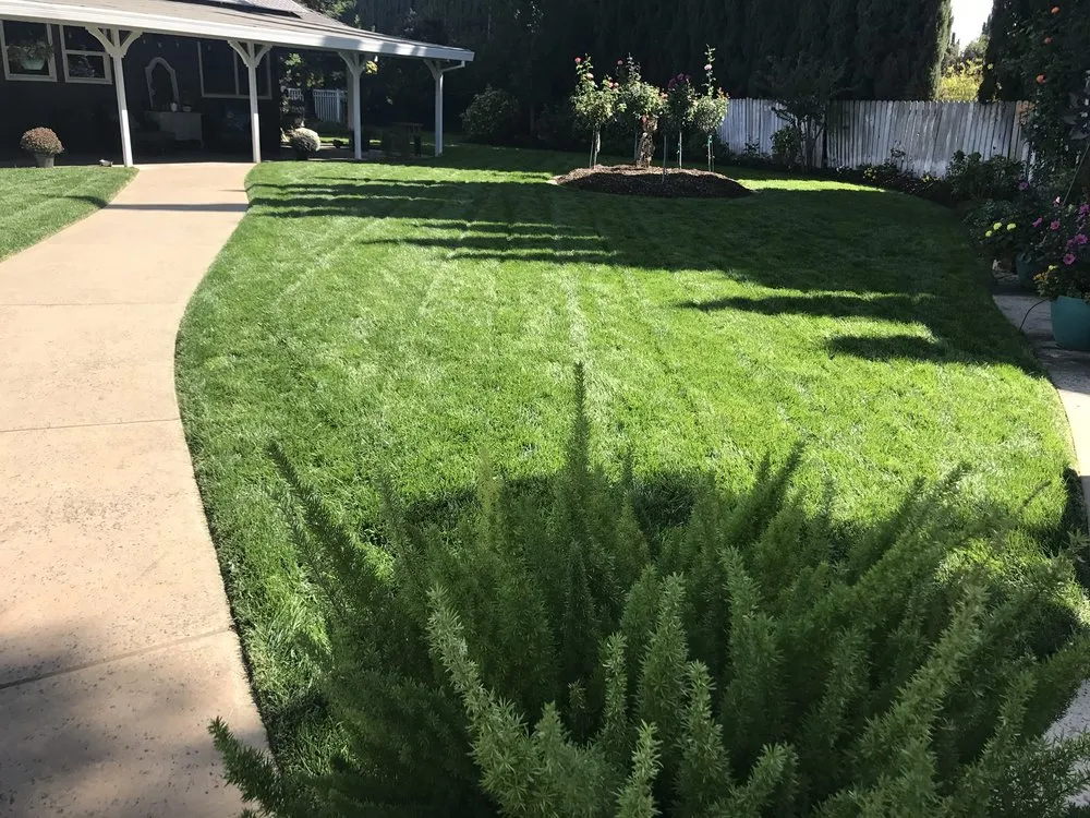 Custom lawn mowing service with custom design in Chico, CA by Hernandez Landscaping