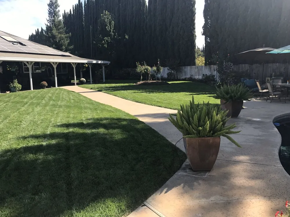 Trusted yard maintenance in Chico, CA - Hernandez Landscaping