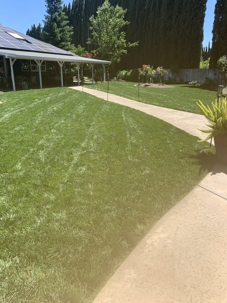 Top-rated garden landscaping for year-round maintenance in Chico, CA by Hernandez Landscaping