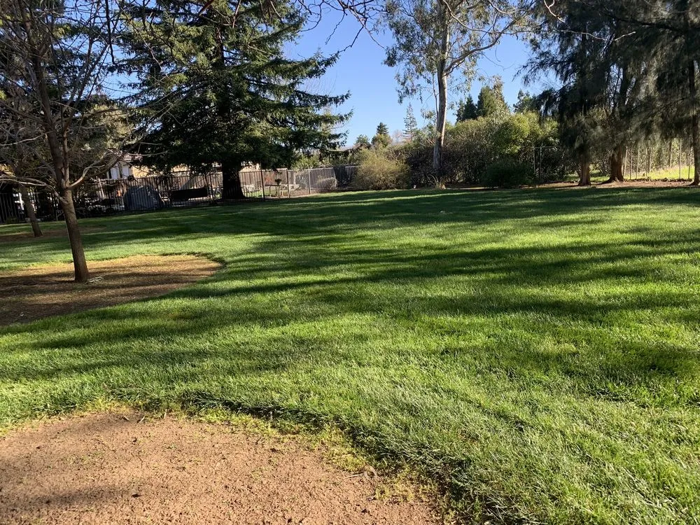 Trusted lawn mowing service for residential properties in Chico, CA by Hernandez Landscaping