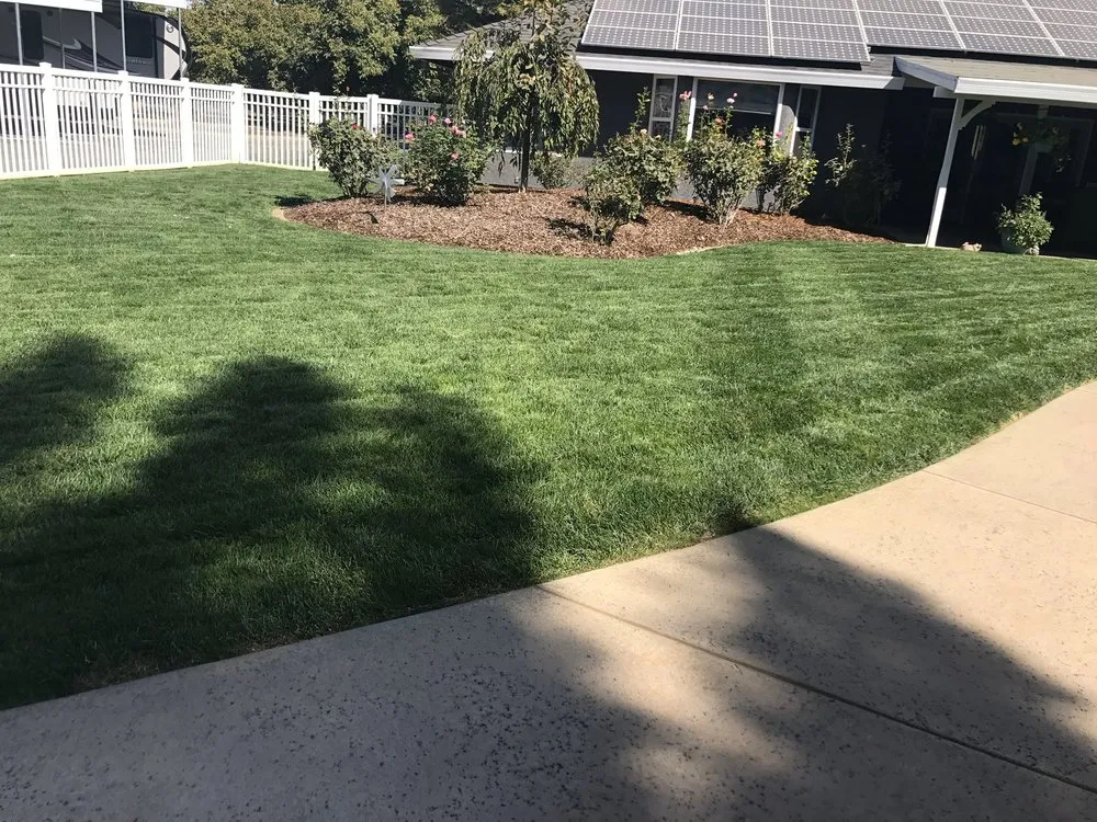 Professional landscaping services for outdoor upgrades across Chico, CA - Hernandez Landscaping