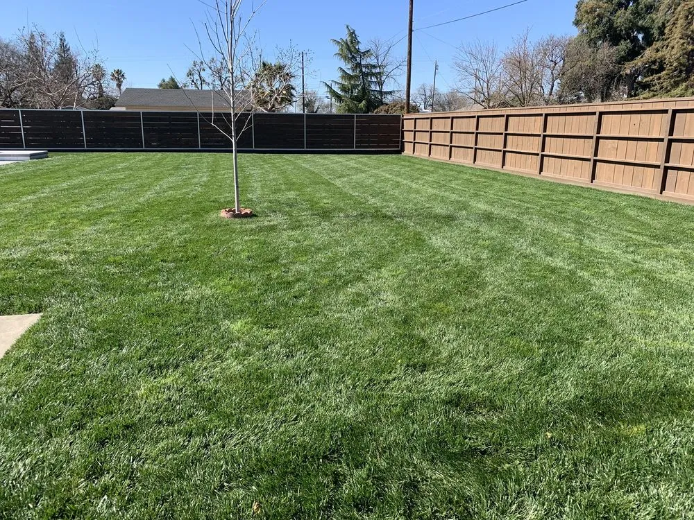Affordable lawn mowing service for outdoor upgrades across Chico, CA - Hernandez Landscaping