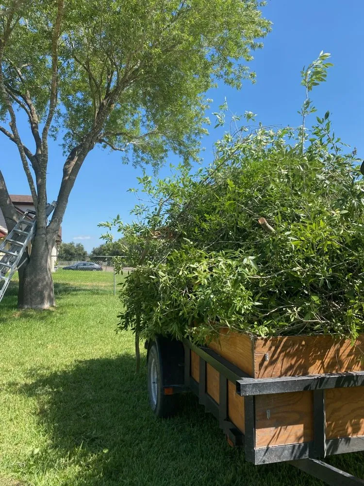 Custom yard cleanup service with custom design across Donna, TX - Hernandez Landscaping