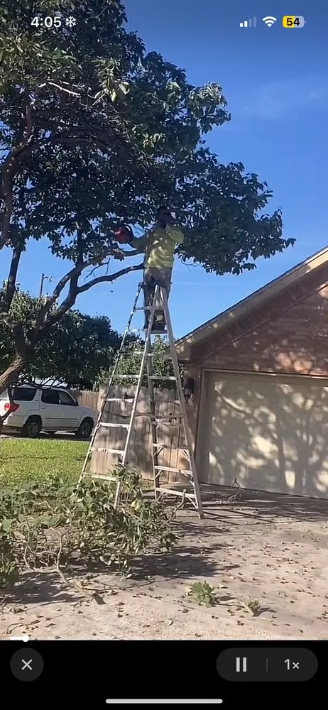 Local landscaping services in Donna, TX by Hernandez Landscaping