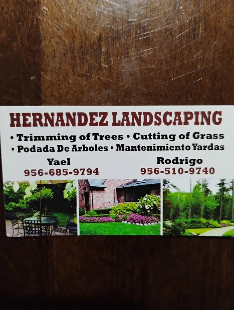 Reliable yard maintenance for residential properties across Donna, TX - Hernandez Landscaping