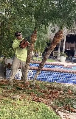 Hernandez Landscaping