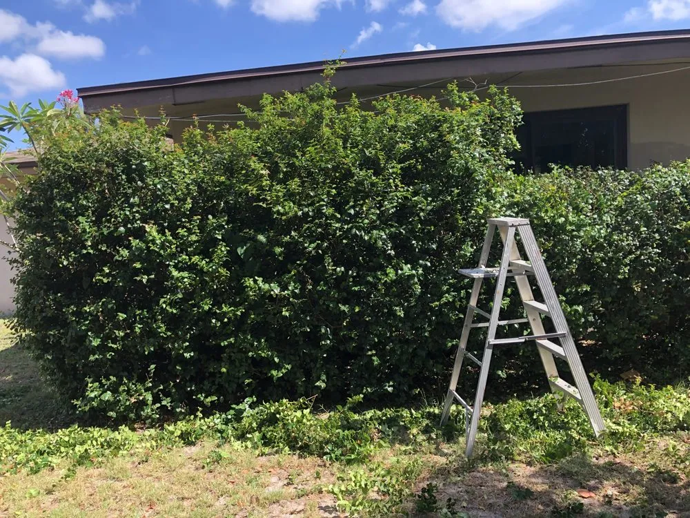 Top-rated lawn care service in Fort Myers, FL by Hernandez Landscaping