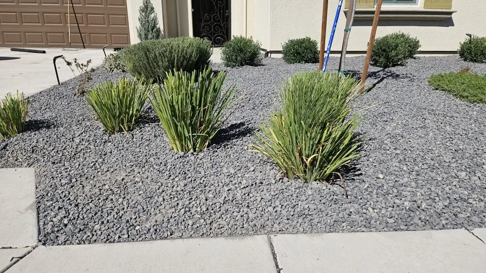 Reliable garden landscaping in French Camp, CA - Hernandez Landscaping