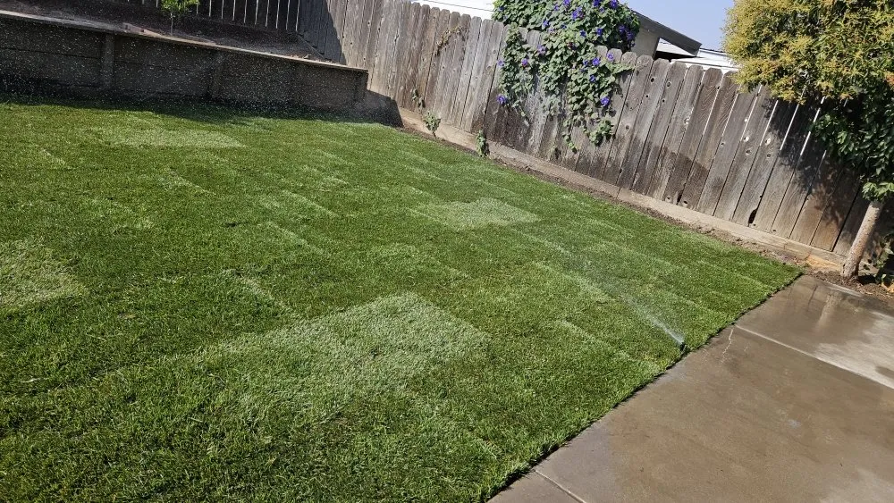 Top-rated outdoor landscaping experts serving French Camp, CA - Hernandez Landscaping