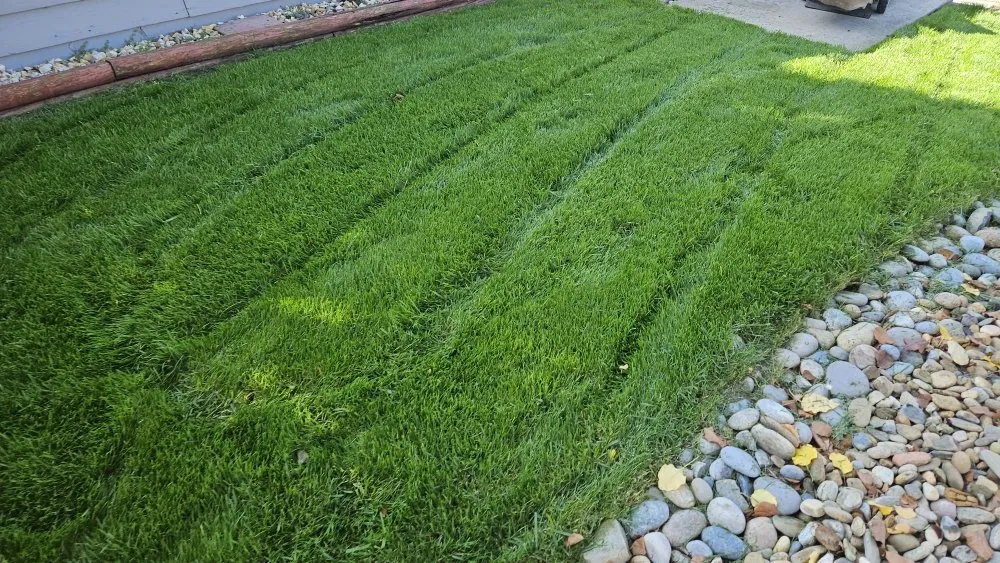 Custom landscape design experts serving French Camp, CA - Hernandez Landscaping