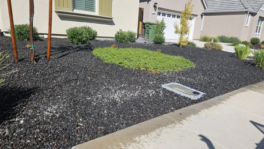 Trusted lawn mowing service in French Camp, CA by Hernandez Landscaping