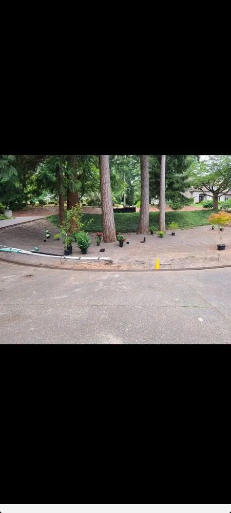 Professional yard maintenance experts serving Gig Harbor, WA - Hernandez Landscaping