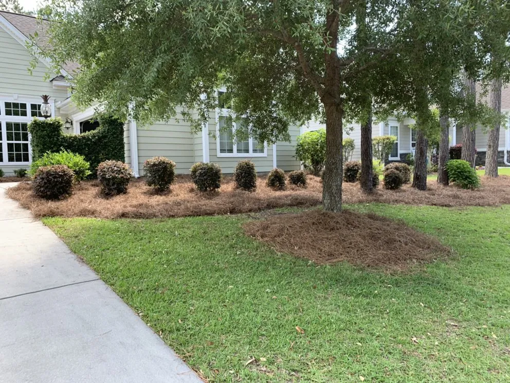 Expert garden landscaping in Hardeeville, SC by Hernandez Landscaping