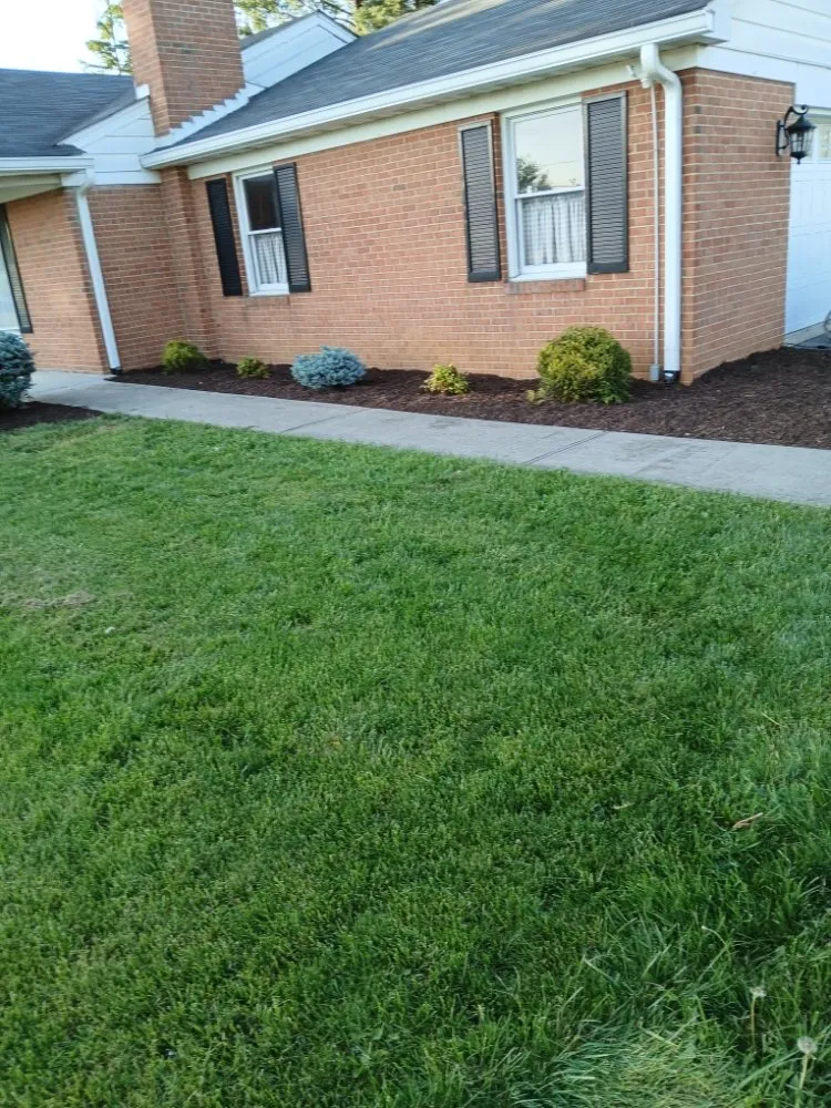 Affordable outdoor landscaping in Harrisonburg, VA - Hernandez landscaping