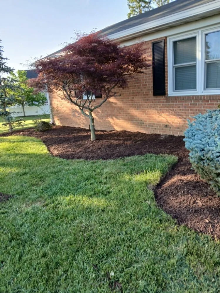 Reliable lawn care service in Harrisonburg, VA - Hernandez landscaping