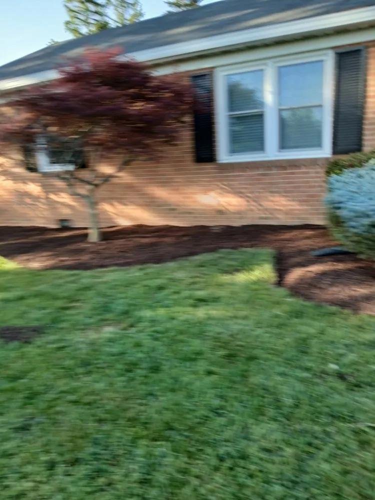 Local outdoor landscaping experts serving Harrisonburg, VA - Hernandez landscaping