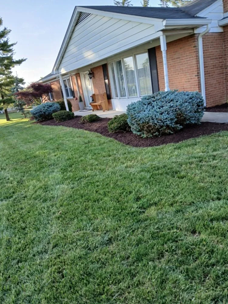 Trusted landscape installation for year-round maintenance across Harrisonburg, VA - Hernandez landscaping