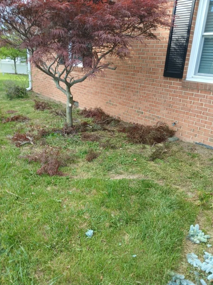 Expert outdoor landscaping with custom design across Harrisonburg, VA - Hernandez landscaping