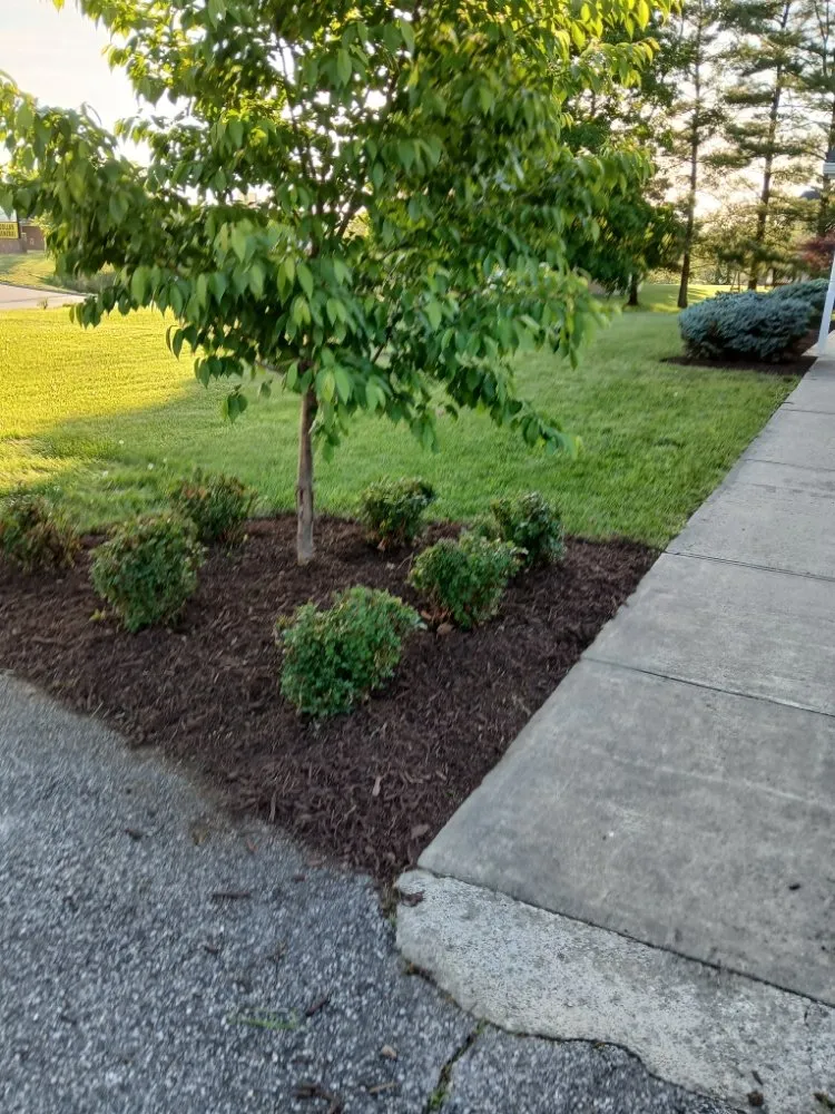 Custom yard maintenance in Harrisonburg, VA - Hernandez landscaping