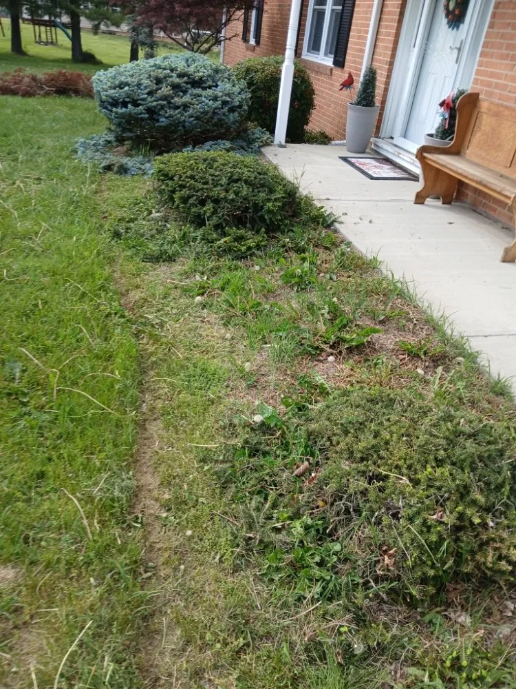 Expert landscape installation in Harrisonburg, VA - Hernandez landscaping