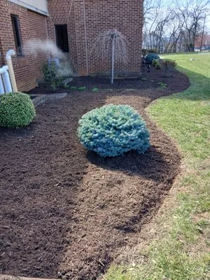 Hernandez landscaping Logo